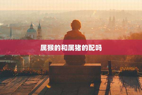 属猴的和属猪的配吗