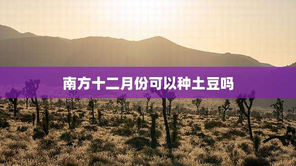 南方十二月份可以种土豆吗