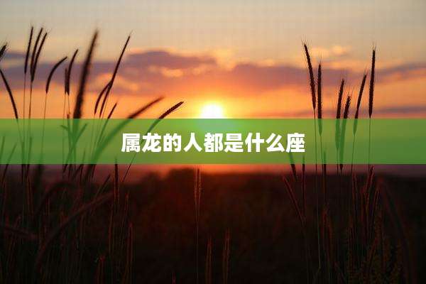 属龙的人都是什么座