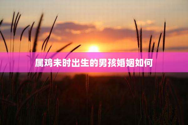 属鸡未时出生的男孩婚姻如何