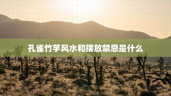 孔雀竹芋风水和摆放禁忌是什么