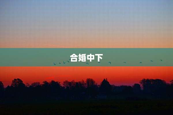 合婚中下