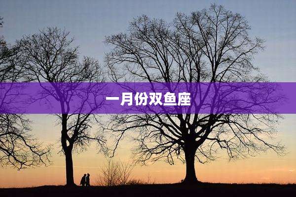一月份双鱼座
