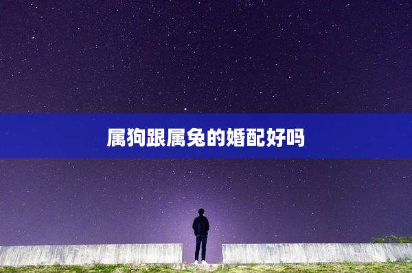 属狗跟属兔的婚配好吗