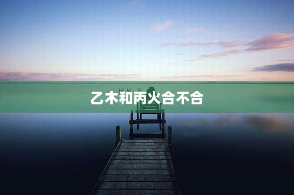 乙木和丙火合不合