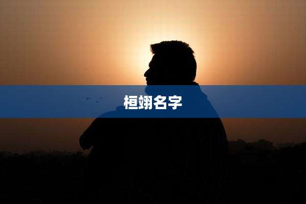 桓翊名字