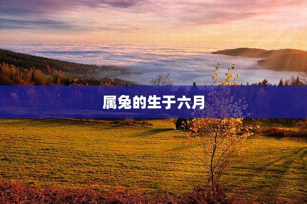 属兔的生于六月