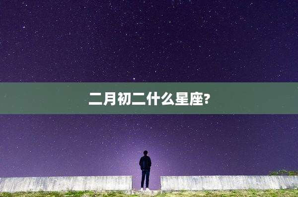 二月初二什么星座?