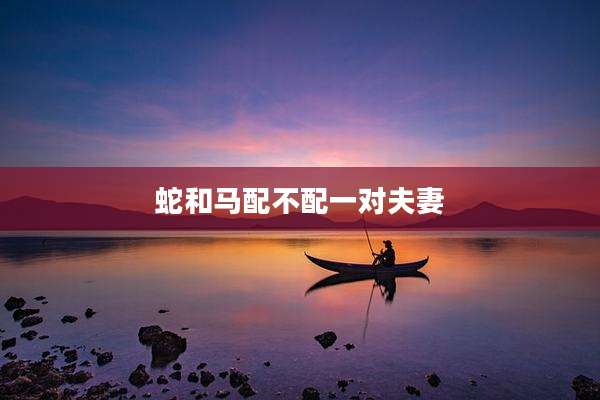蛇和马配不配一对夫妻