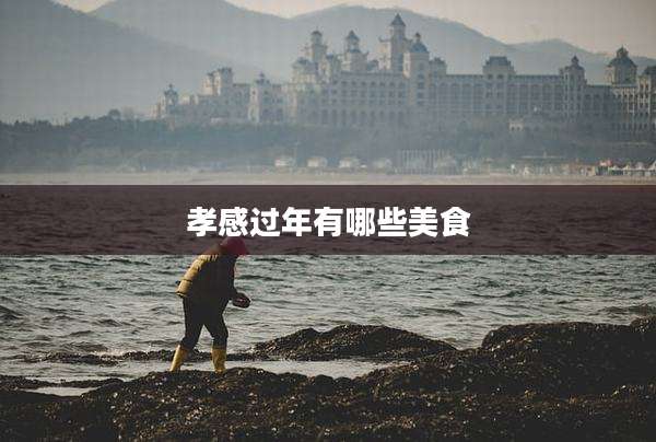 孝感过年有哪些美食