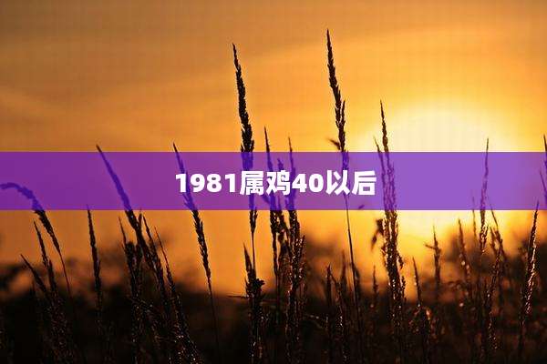 1981属鸡40以后