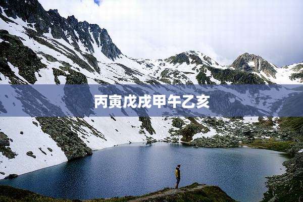 丙寅戊戌甲午乙亥