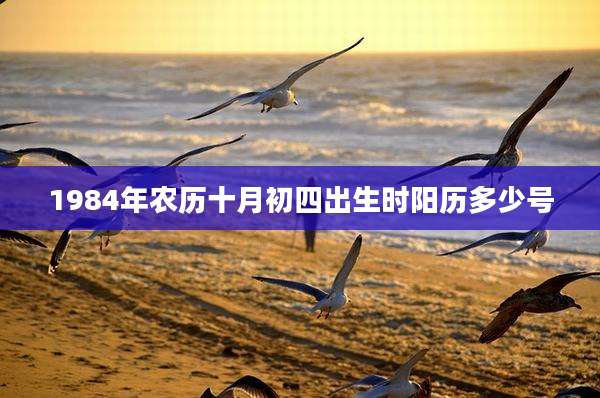 1984年农历十月初四出生时阳历多少号