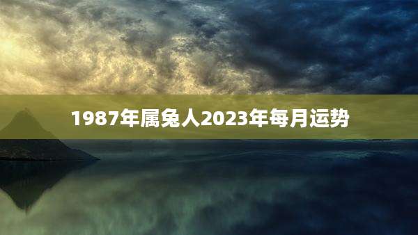1987年属兔人2023年每月运势
