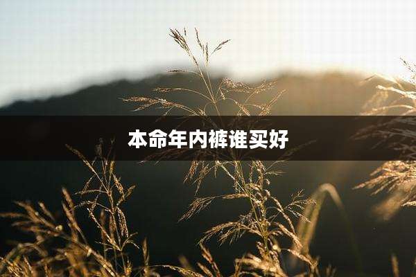 本命年内裤谁买好