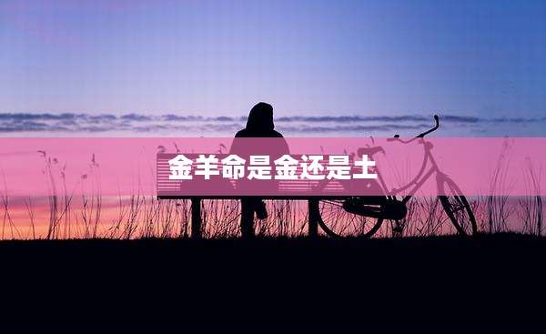 金羊命是金还是土