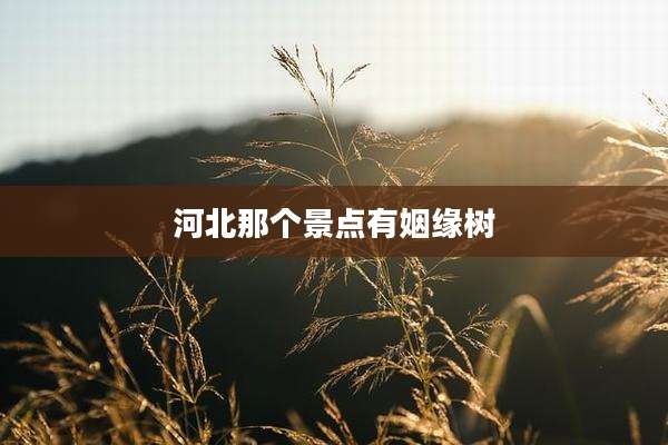 河北那个景点有姻缘树