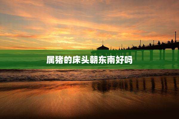 属猪的床头朝东南好吗