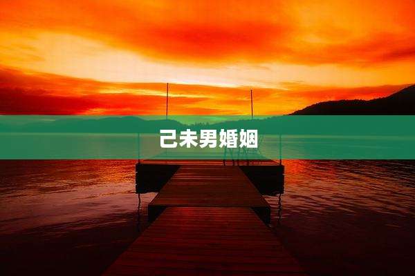 己未男婚姻