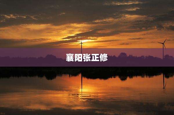 襄阳张正修