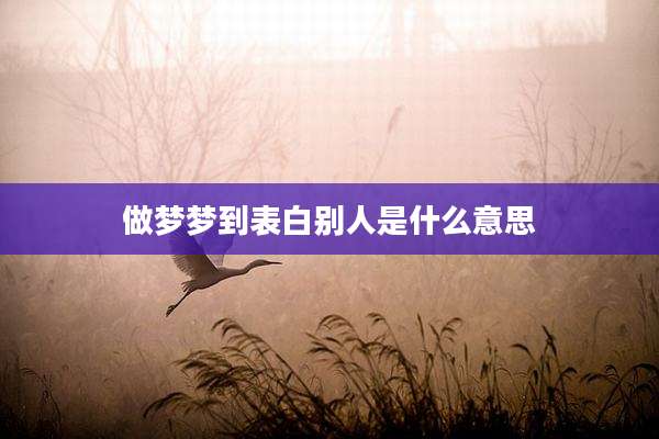 做梦梦到表白别人是什么意思