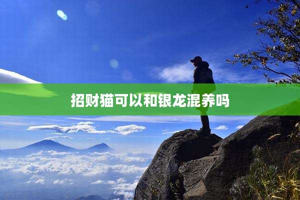 招财猫可以和银龙混养吗