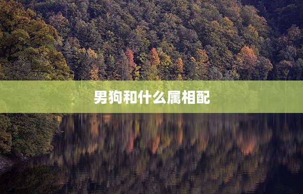 男狗和什么属相配