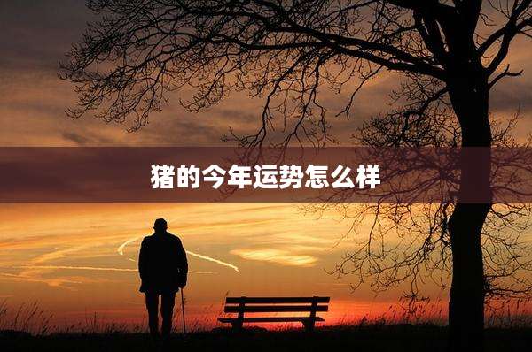 猪的今年运势怎么样