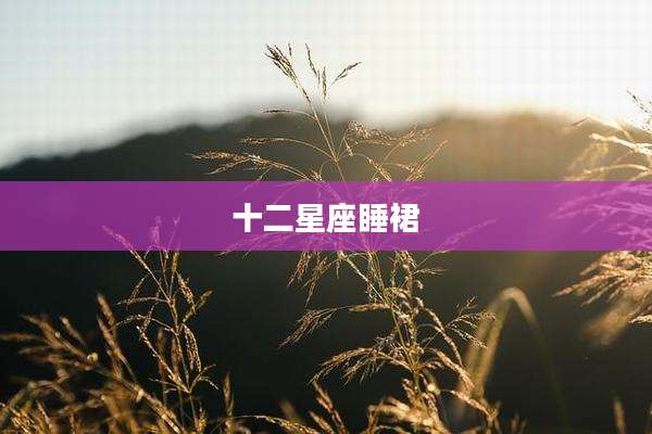 十二星座睡裙