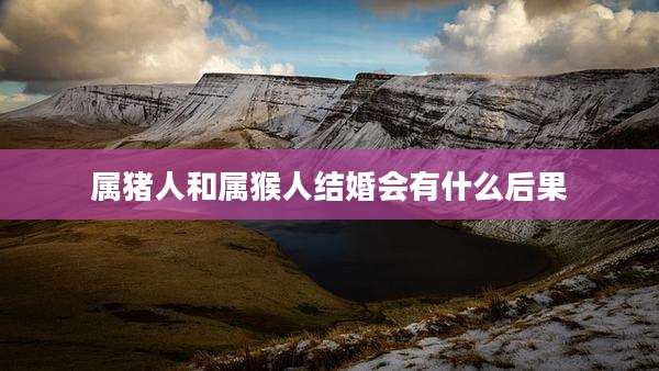 属猪人和属猴人结婚会有什么后果