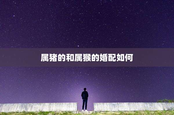 属猪的和属猴的婚配如何