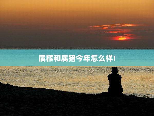 属猴和属猪今年怎么样!