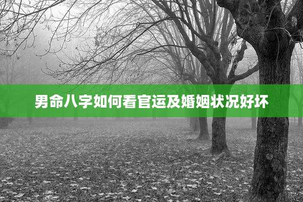 男命八字如何看官运及婚姻状况好坏