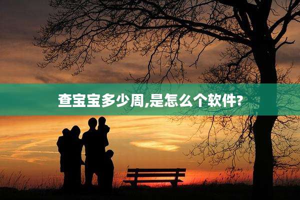 查宝宝多少周,是怎么个软件?