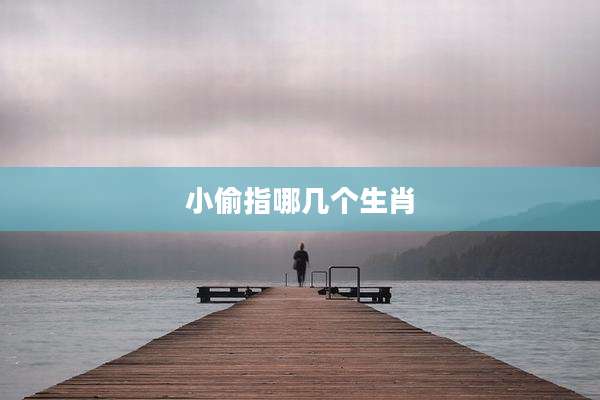 小偷指哪几个生肖