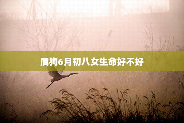 属狗6月初八女生命好不好