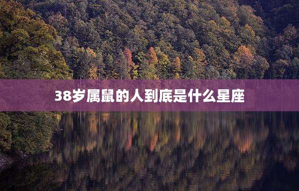 38岁属鼠的人到底是什么星座