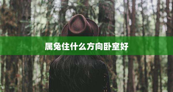 属兔住什么方向卧室好