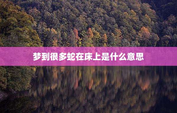 梦到很多蛇在床上是什么意思