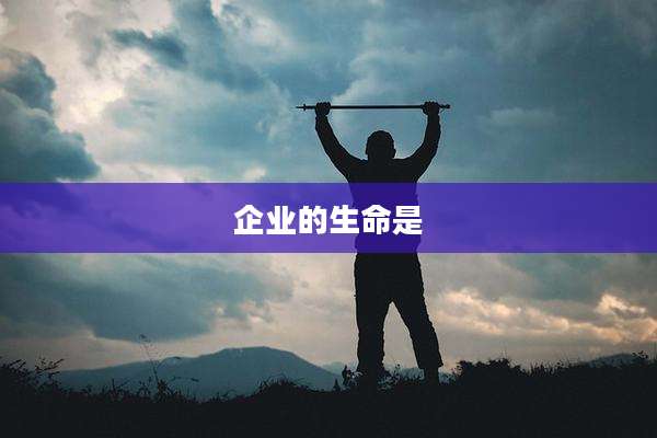 企业的生命是