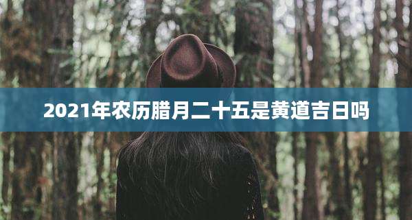 2021年农历腊月二十五是黄道吉日吗