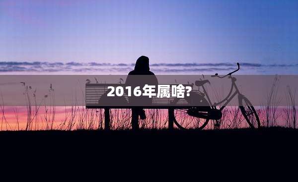 2016年属啥?