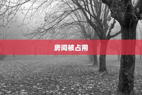 房间被占用