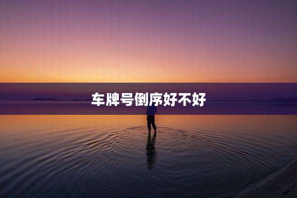 车牌号倒序好不好