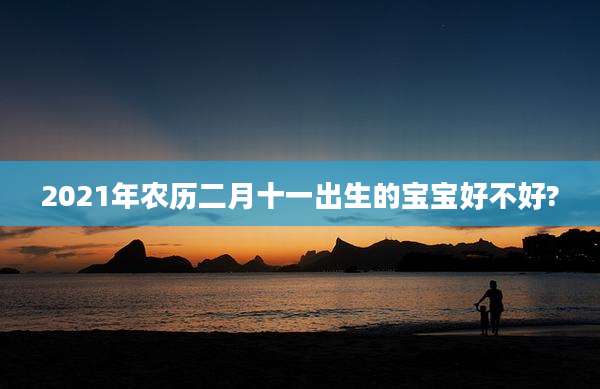 2021年农历二月十一出生的宝宝好不好?