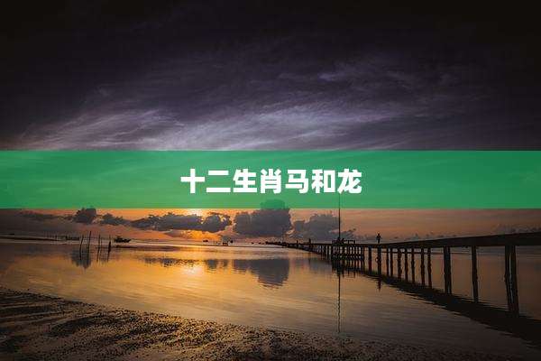 十二生肖马和龙