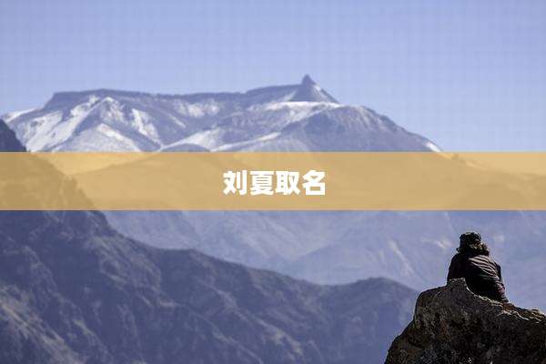 刘夏取名