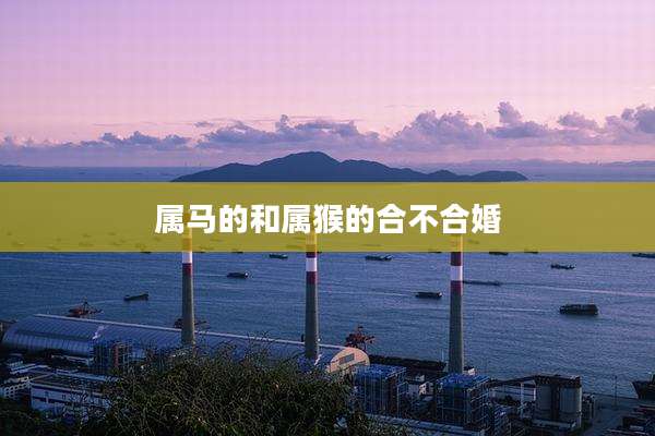 属马的和属猴的合不合婚