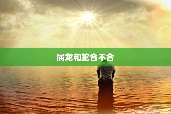 属龙和蛇合不合