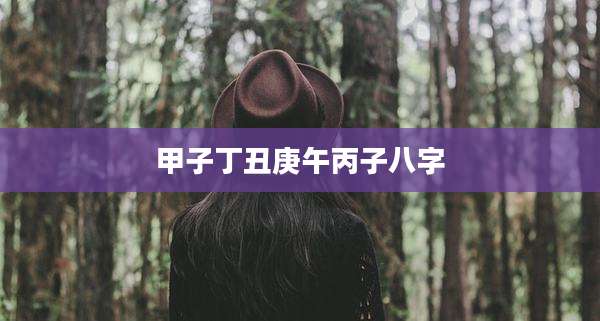甲子丁丑庚午丙子八字